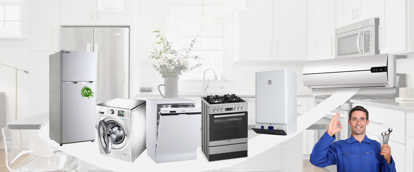 Bayraklı Vaillant Servisi